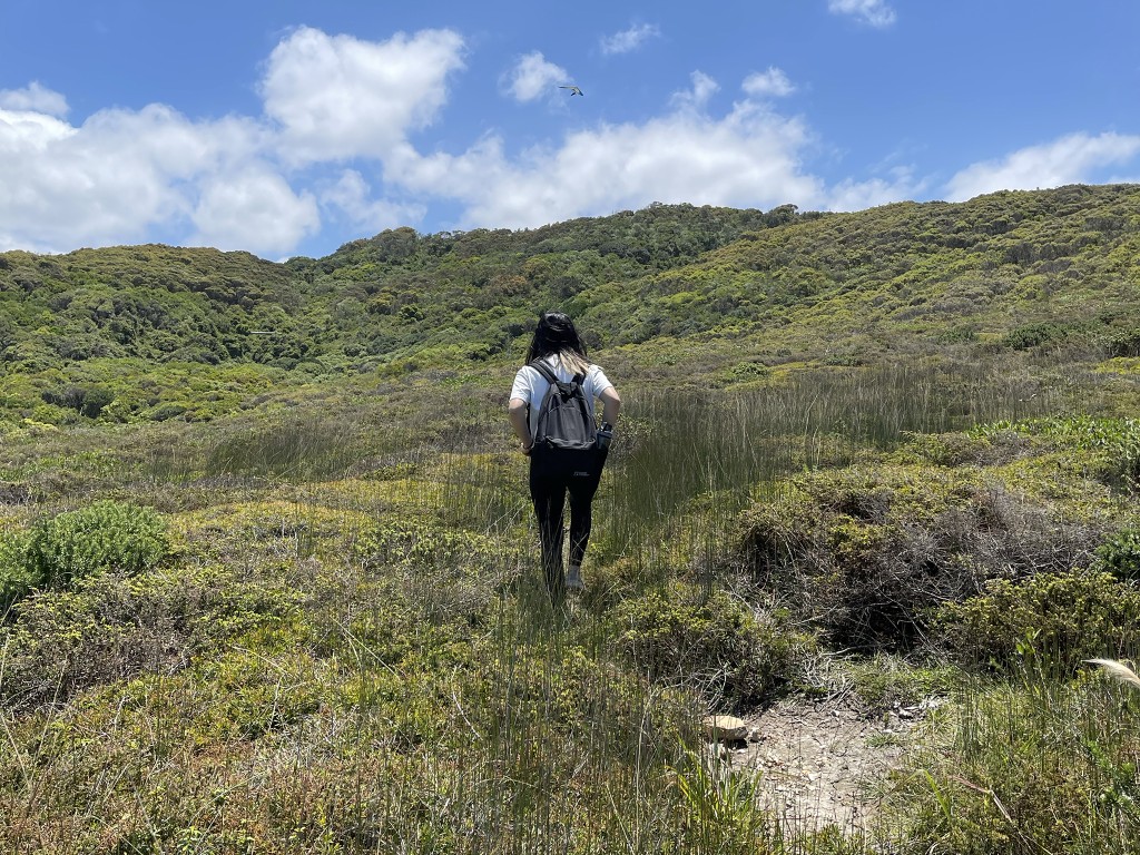 A person hiking up a hill in a grassy area below blue skies.