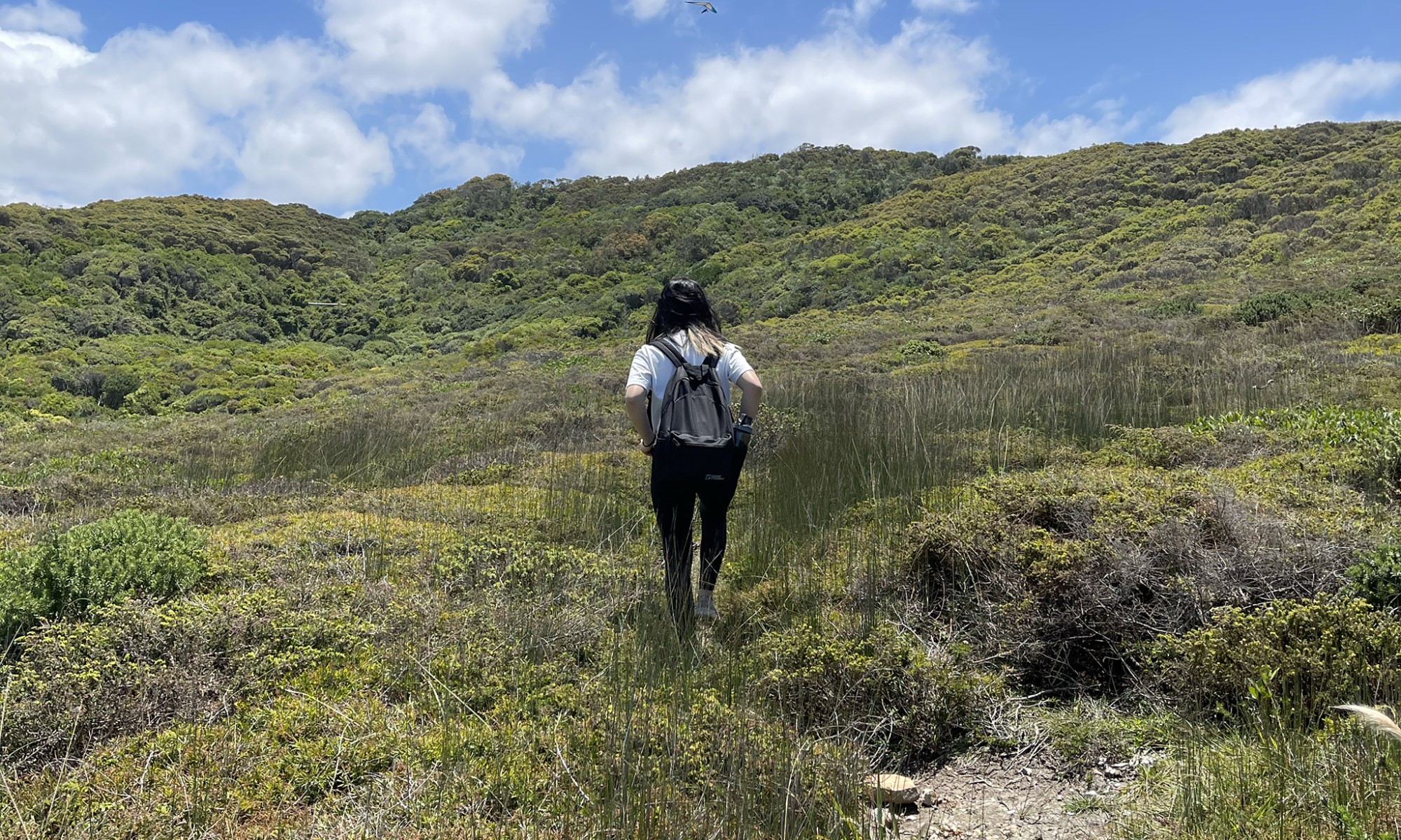 A person hiking up a hill in a grassy area below blue skies.