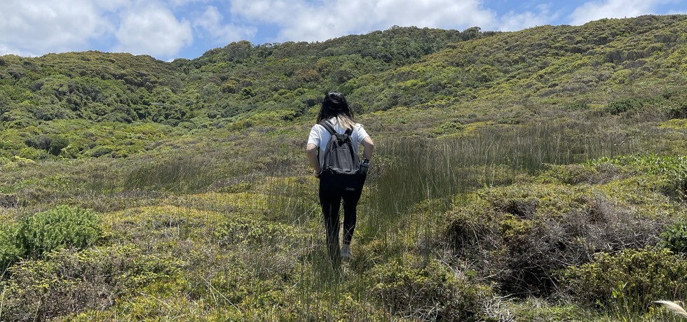 A person hiking up a hill in a grassy area below blue skies.